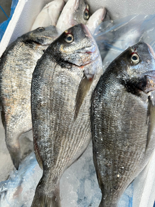 Sea bream 鯛魚