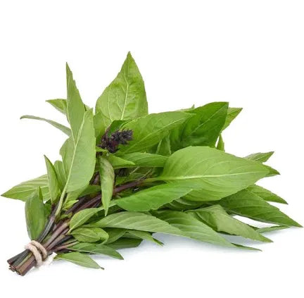 *Thai Basil / 泰國羅勒 / 金不換