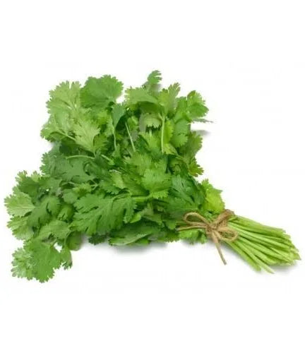 Coriander / 芫茜 (Chinese Veg) Single （扎）