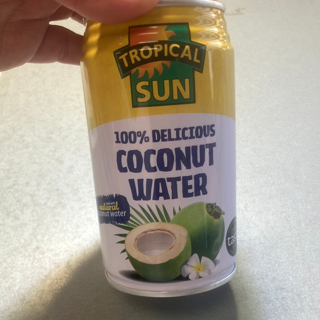 Tropical Sun Coconut Water / 椰子水 330ml