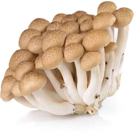 Brown Shimeji mushroom 鴻喜菇 150g